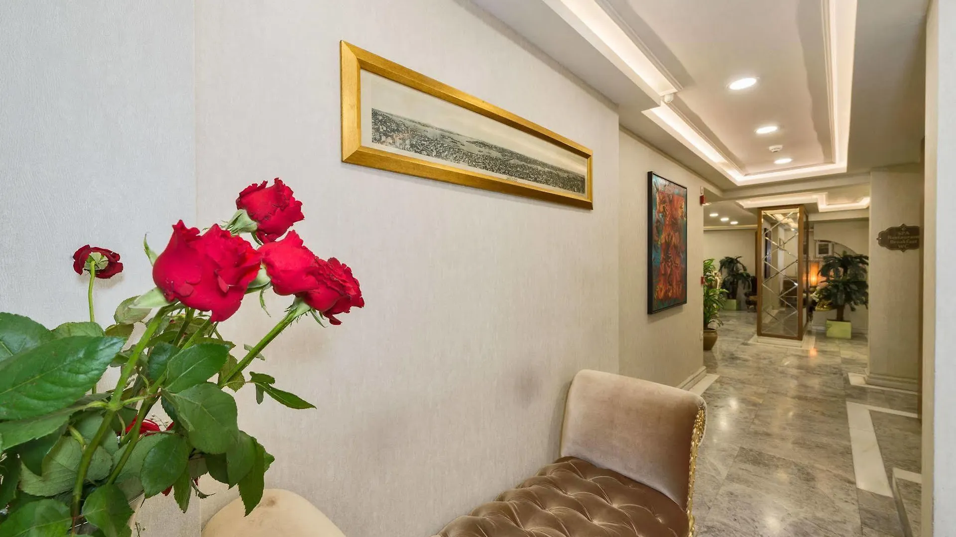 فندق داركمان 2 اسطنبول